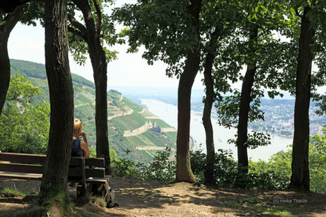 Waldlachen – Lachyoga Wanderung